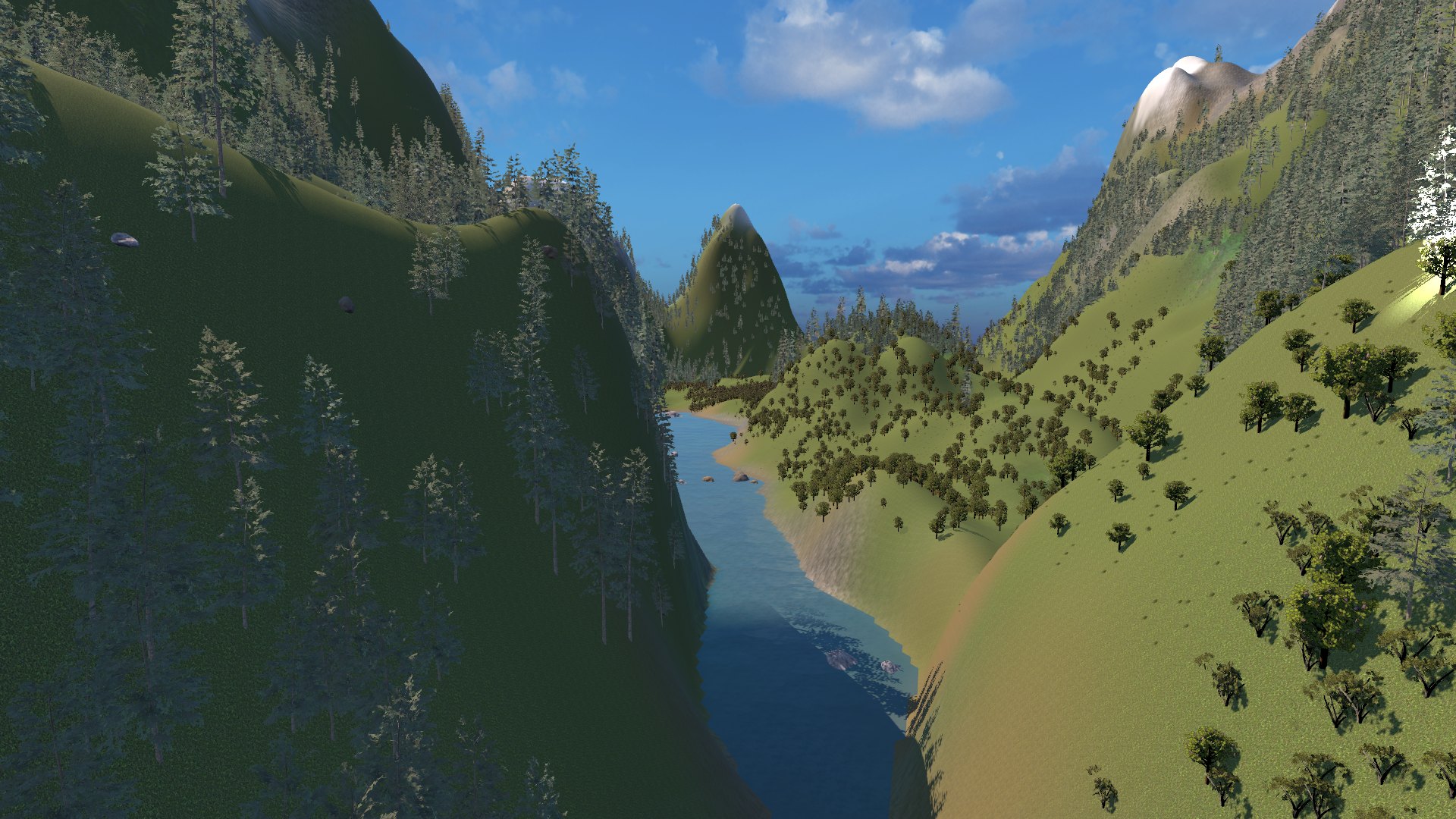 Project Image 2